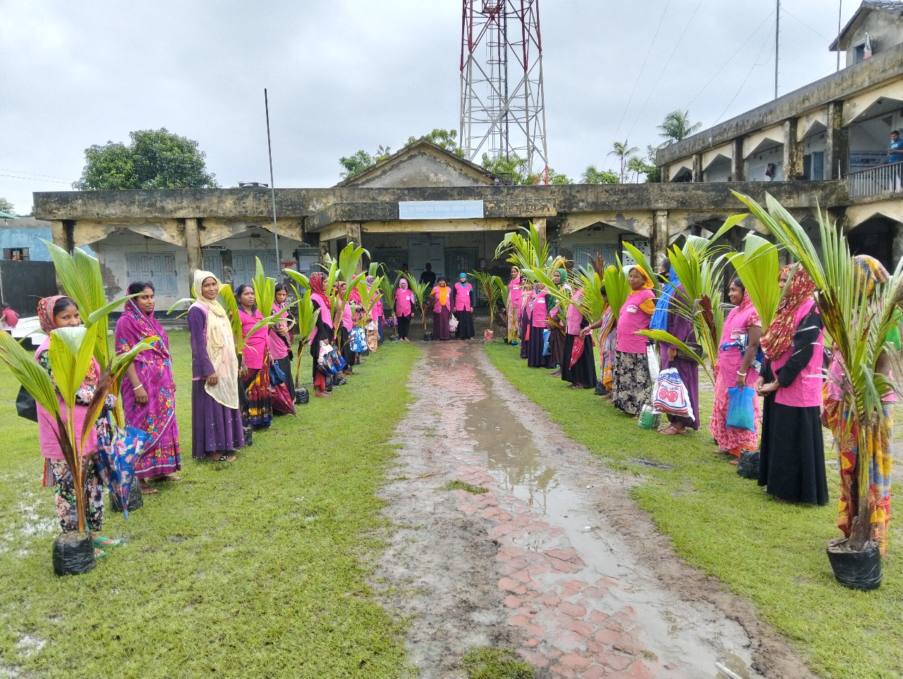 Distribution of High-Quality Kerala Coconut Saplings in South Zone, Bagerhat under SWAPNO-II project (Strengthening Women's Ability and Productive New Opportunities)